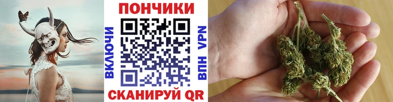 Где купить наркоту Жуковский Бошки Шишки  А ПВП  Меф мяу мяу 