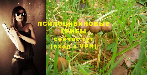 эйфоретик Елабуга