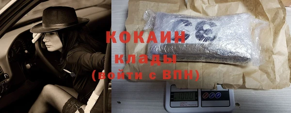 индика Ельня