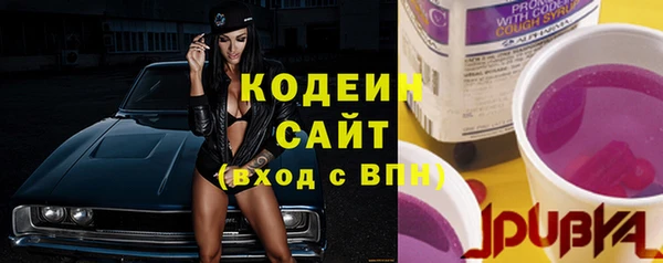 индика Ельня