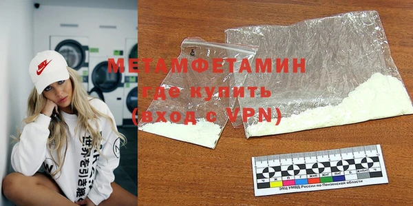 индика Ельня