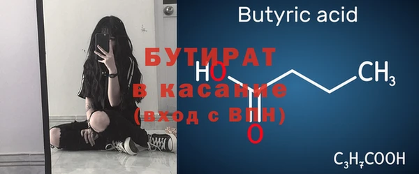 индика Ельня