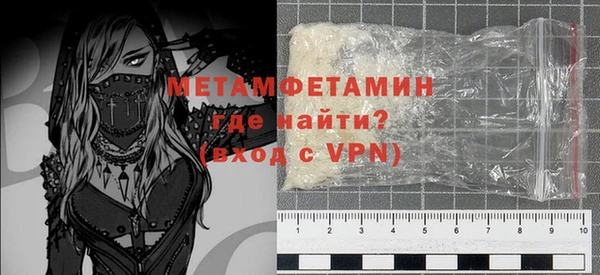 индика Ельня