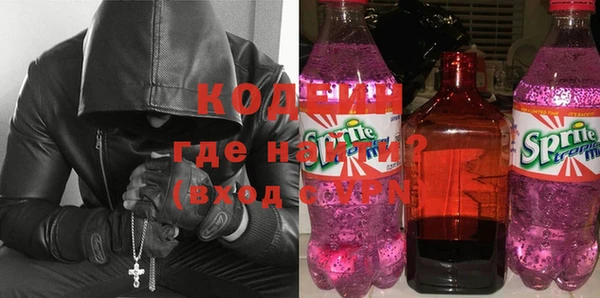 индика Ельня