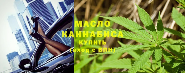 индика Ельня