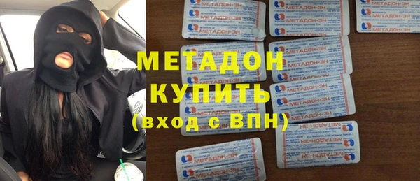 индика Ельня