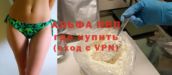 индика Ельня