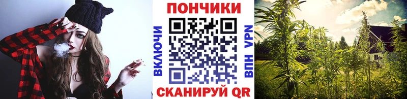 Конопля индика  Жуковский 